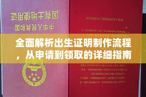 汉滨全面解析出生证明制作流程，从申请到领取的详细指南
