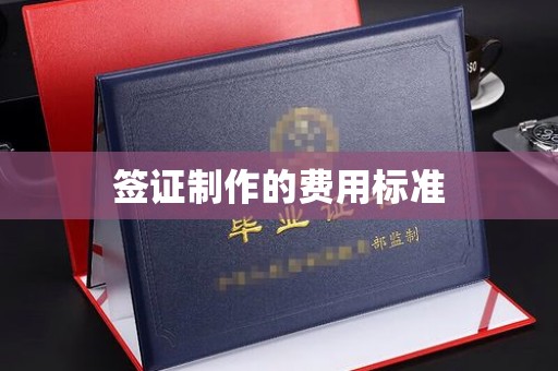 汉滨签证制作的费用标准
