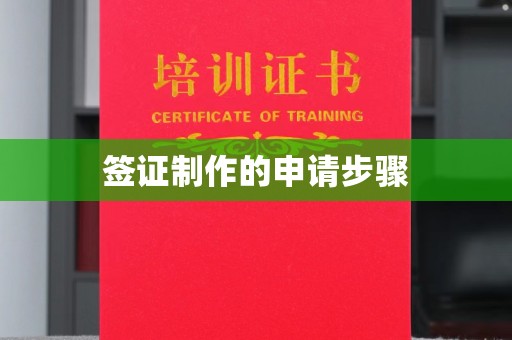 汉滨签证制作的申请步骤