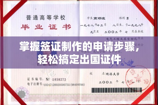 汉滨掌握签证制作的申请步骤，轻松搞定出国证件