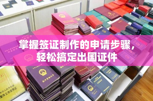 汉滨掌握签证制作的申请步骤，轻松搞定出国证件