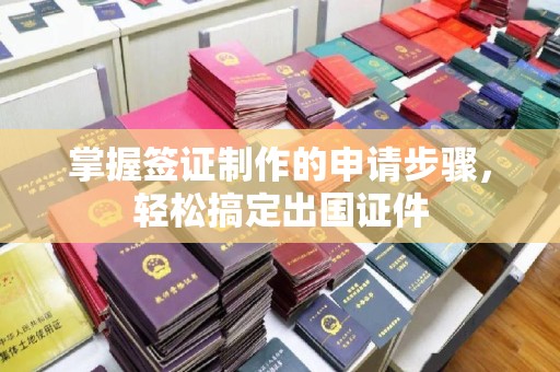 汉滨掌握签证制作的申请步骤，轻松搞定出国证件